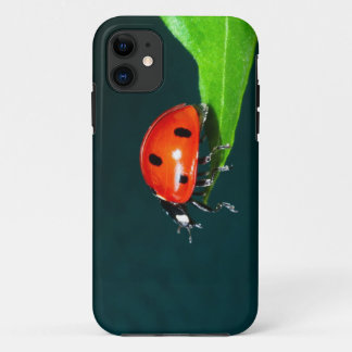 Ladybug iPhone 11 Case