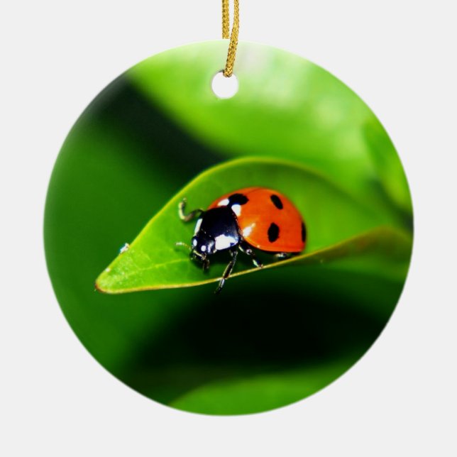 Ladybug Ceramic Ornament (Front)