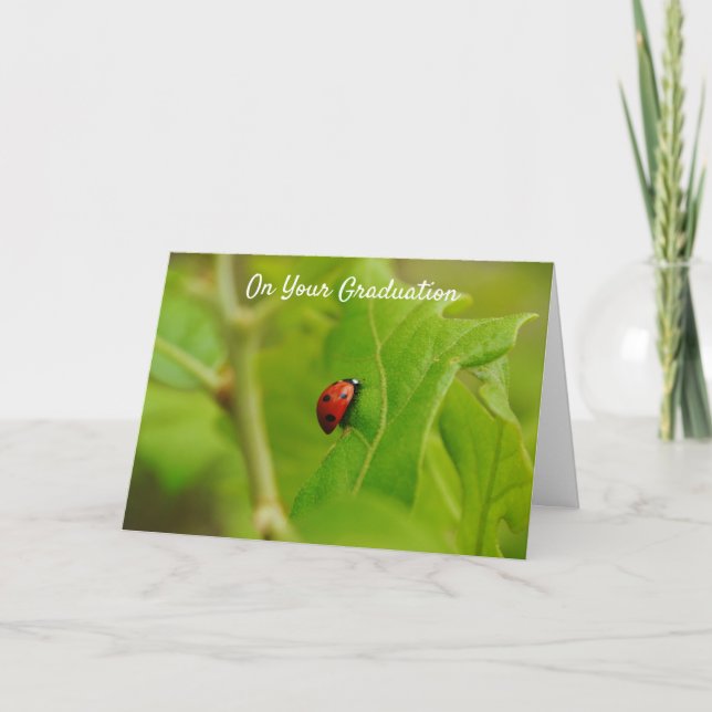 Ladybug Climbing to Success Graduation Card (Front)