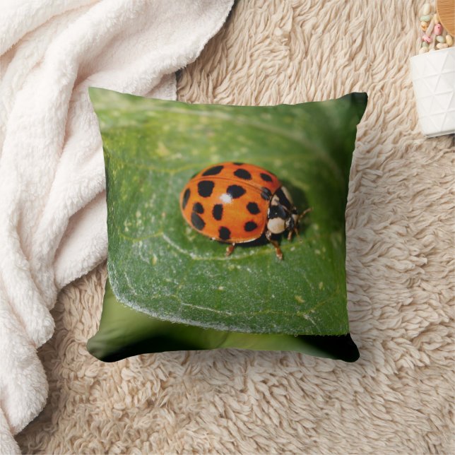 Ladybug Close Up Nature  Throw Pillow (Blanket)
