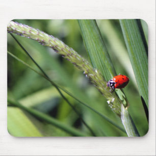 Ladybug (Coccinellidae) Mouse Pad