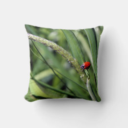 Ladybug (Coccinellidae) Throw Pillow