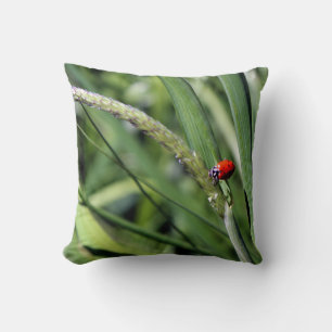 Ladybug (Coccinellidae) Throw Pillow