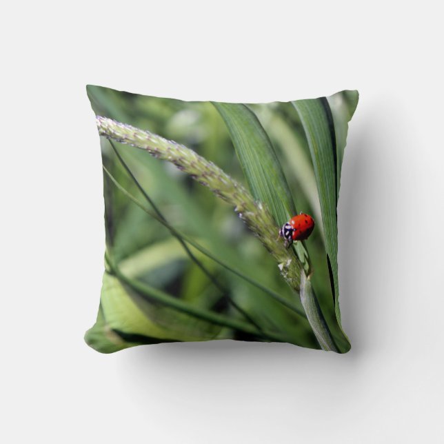 Ladybug (Coccinellidae) Throw Pillow (Front)