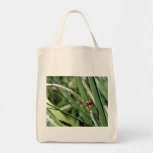 Ladybug (Coccinellidae) Tote Bag