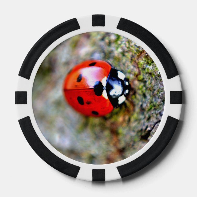 Ladybug Crawling on Tree Trunk Poker Chips (Front)
