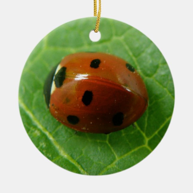 Ladybug Custom Birthday Ceramic Ornament (Front)