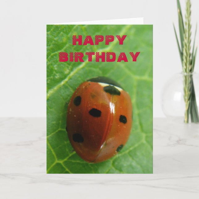 Ladybug Customizable Greeting Card (Front)