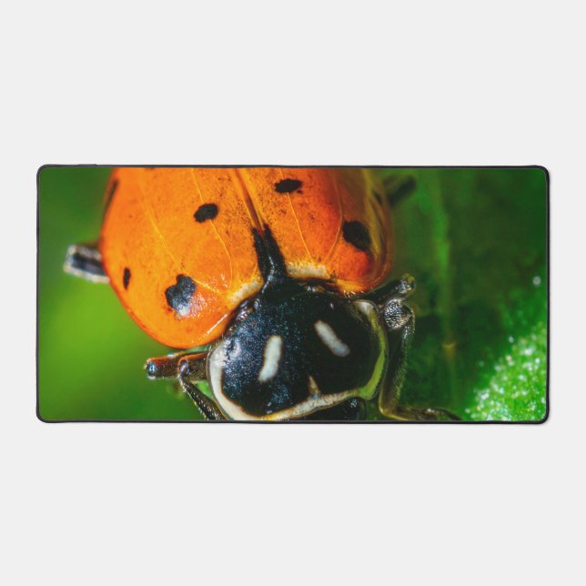 Ladybug Desk Mat | Vibrant Macro Nature Workspace  (Front)
