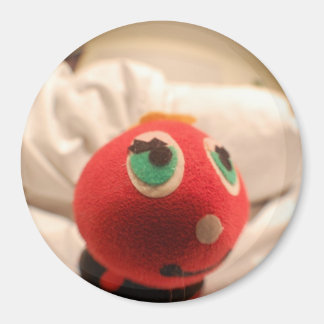 Ladybug Face Magnet