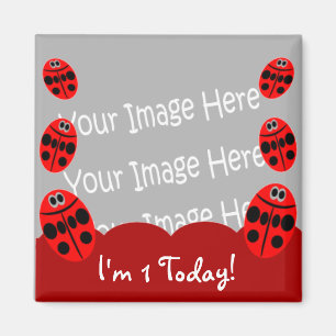 Ladybug First Birthday Photo Magnet Party Favours