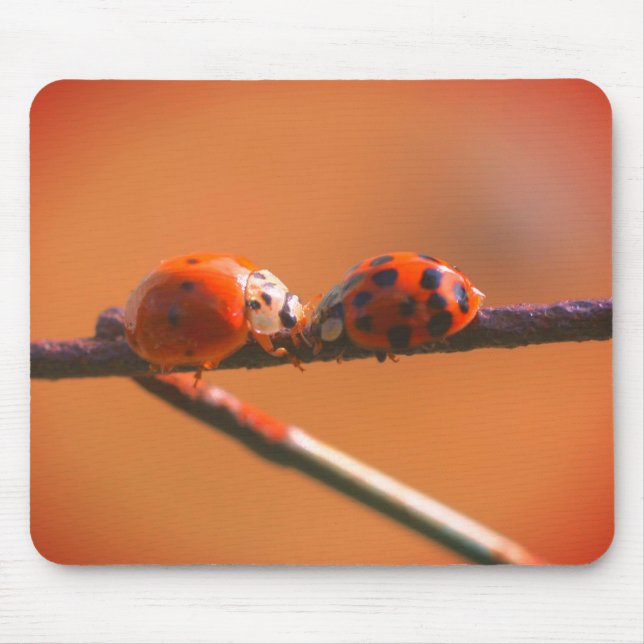 Ladybug Friends Nature  Mouse Pad (Front)