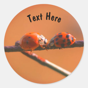 Ladybug Friends Nature Personalized Classic Round Sticker