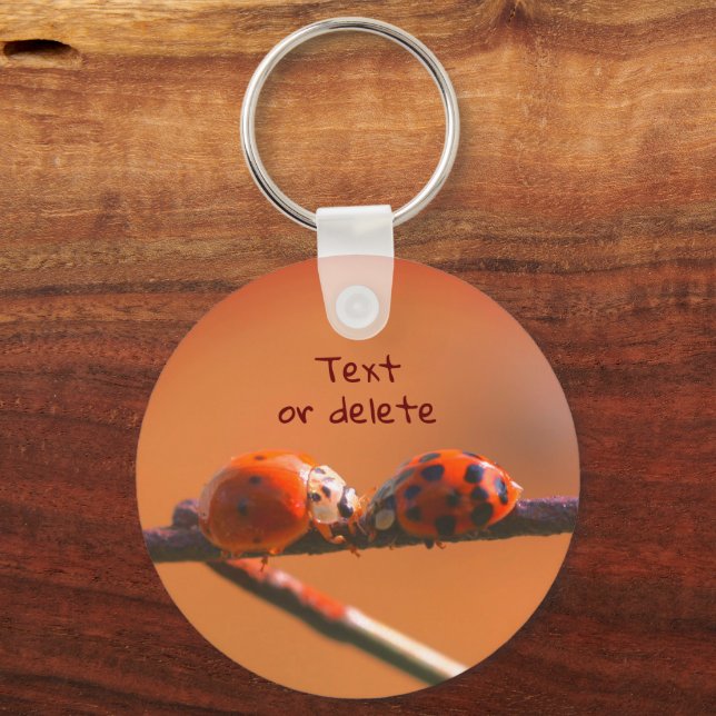 Ladybug Friends Nature Personalized Keychain (Front)