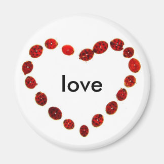 Ladybug Heart Love Magnet