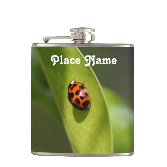 Ladybug Hip Flask (Front)