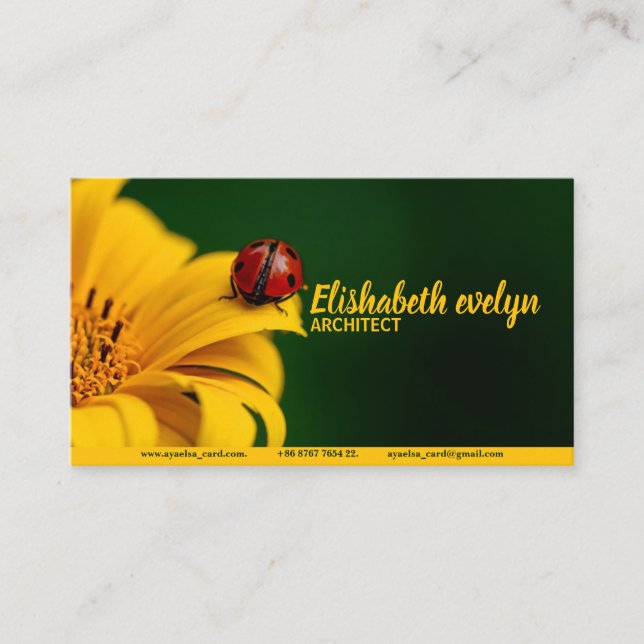 ladybug insect ladybird beetle business card (Front)