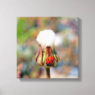 Ladybug insect spring green red cute environment C Canvas Print