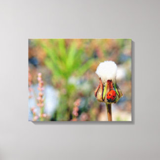 Ladybug insect spring green red cute environment C Canvas Print