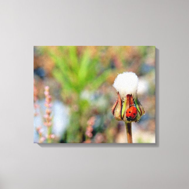 Ladybug insect spring green red cute environment C Canvas Print (Front)