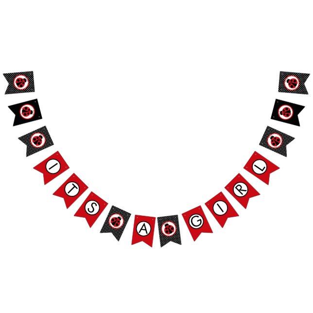 Ladybug It's A Girl Baby Shower Hanging Banner (All)