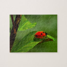 Ladybug Jigsaw Puzzle