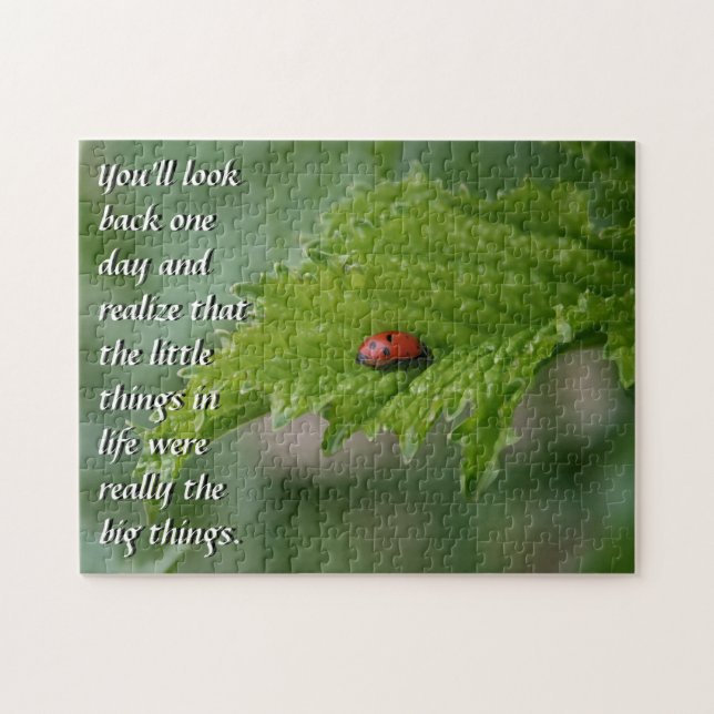 Ladybug Jigsaw Puzzle (Horizontal)