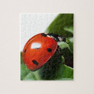 Ladybug Jigsaw Puzzle