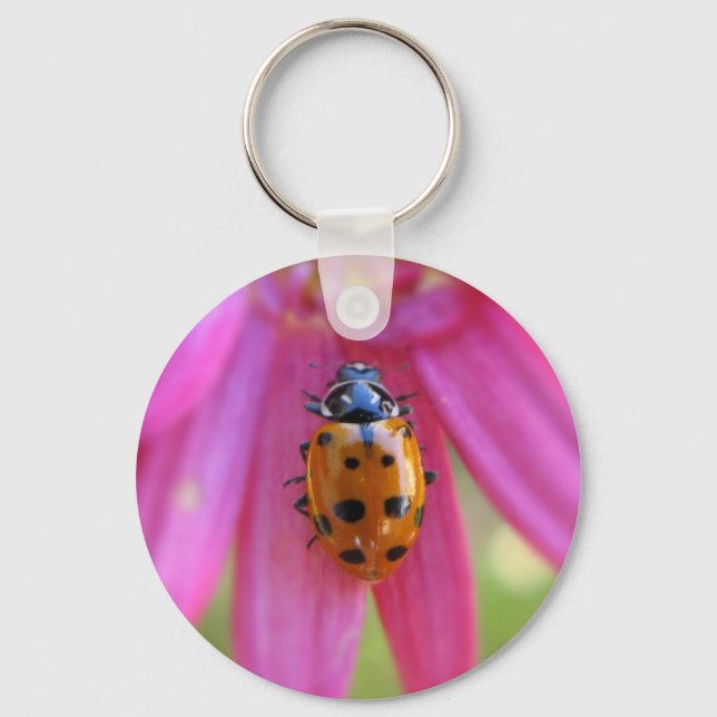 Ladybug Keychain (Front)