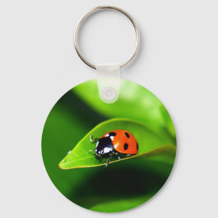 Ladybug Keychain