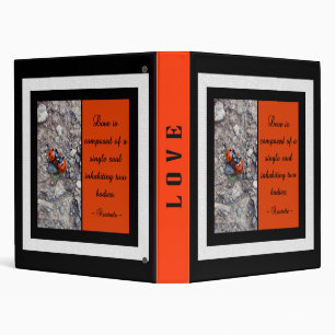Ladybug Kisses Binder