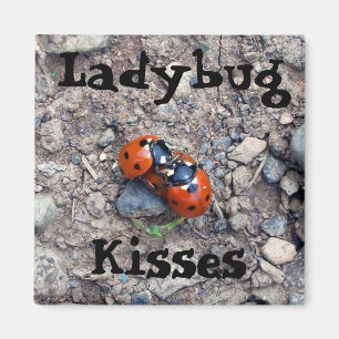 Ladybug Kisses Magnet