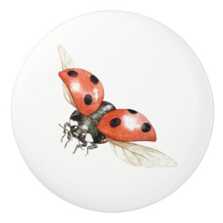 ladybug knob