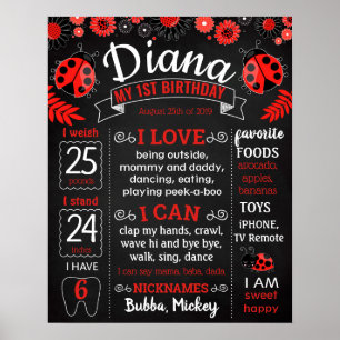Ladybug Lady Bug Birthday Party chalkboard Poster