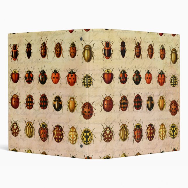 Ladybug Ladybird Beetle Insect Bug Binder (Background)