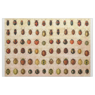 Ladybug Ladybird Beetle Insect Bug Fabric