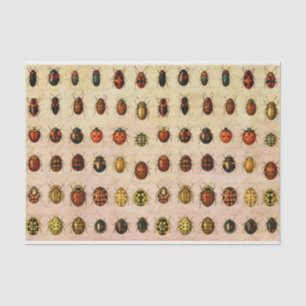 Ladybug Ladybird Beetle Insect Bug Tissue Paper