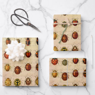 Ladybug Ladybird Beetle Insect Bug Wrapping Paper Sheet