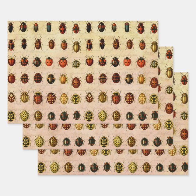 Ladybug Ladybird Beetle Insect Bug Wrapping Paper Sheet (Set)