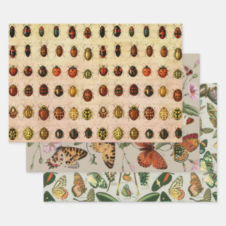 Ladybug Ladybird Beetle Insect Bug Wrapping Paper Sheet