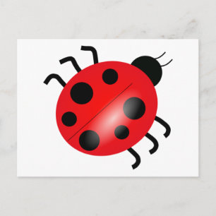 Ladybug - Ladybird Postcard
