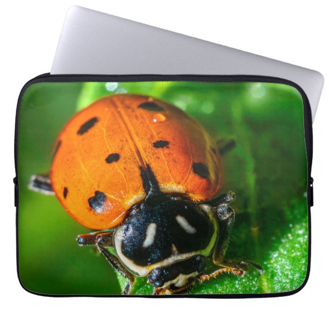 Ladybug Laptop Sleeve | Vibrant Macro Nature Case (Front)