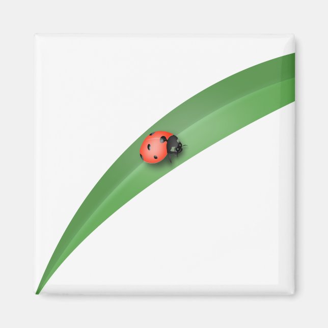 Ladybug Leaf Magnet (Front)