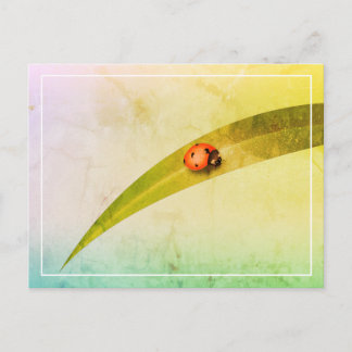 Ladybug Leaf Postcard