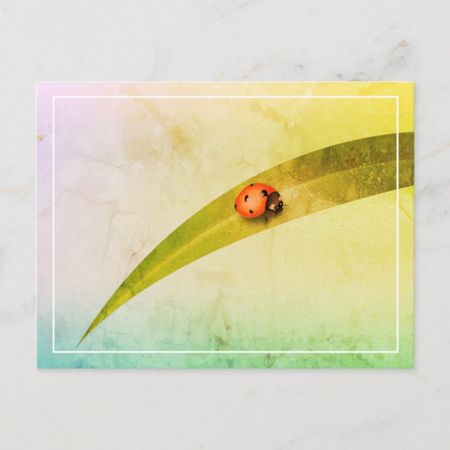 Ladybug Leaf Postcard (Front)