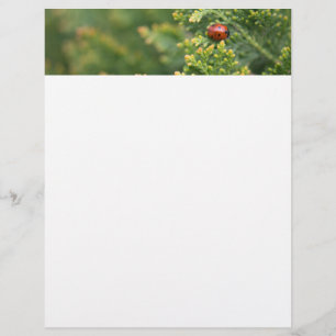 Ladybug Letterhead