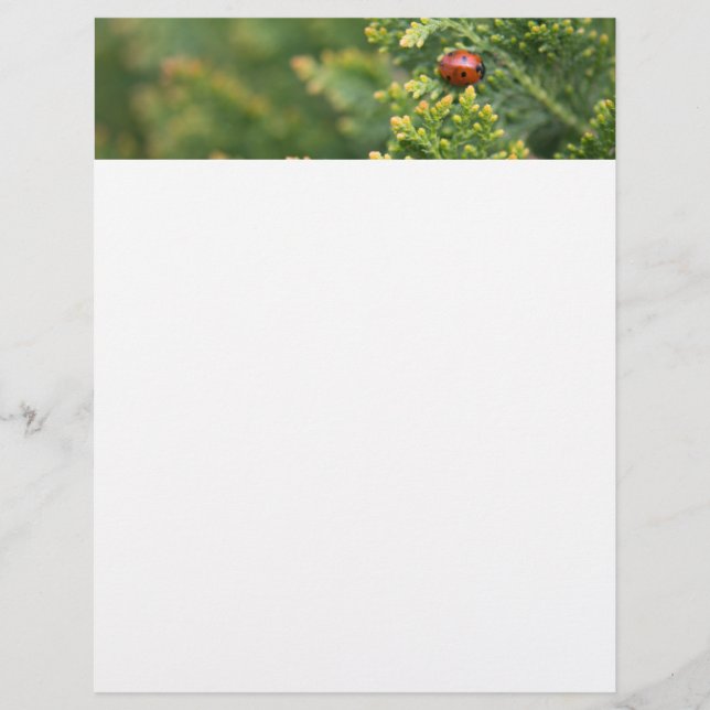 Ladybug Letterhead (Front)