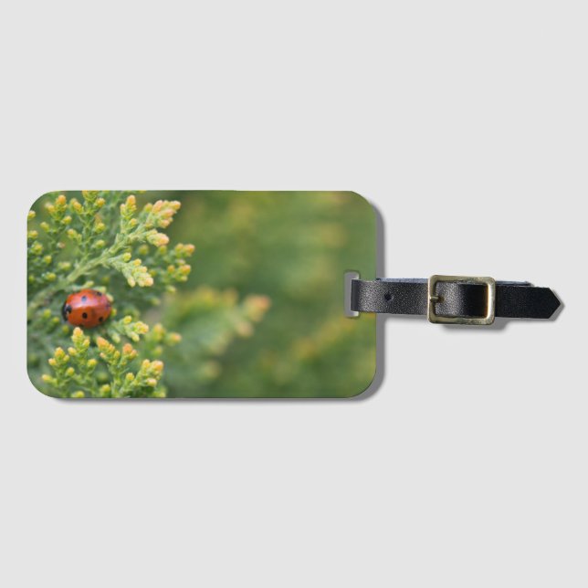 Ladybug Luggage Tag (Front Horizontal)