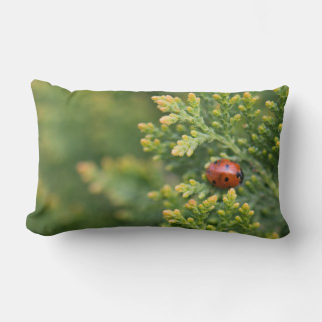 Ladybug Lumbar Pillow (Front)