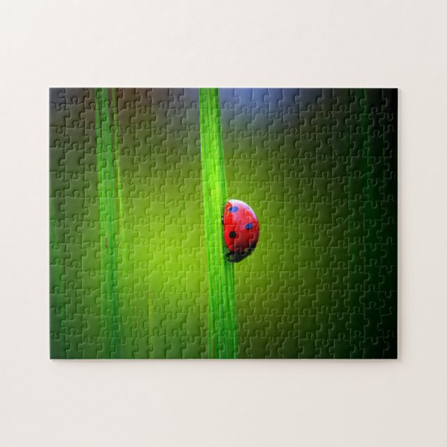 Ladybug Macro Colourful, Jigsaw Puzzle (Horizontal)